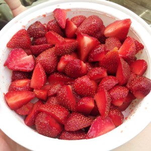 The best strawberries I've ever eaten thanks to my awesome father-in-law!